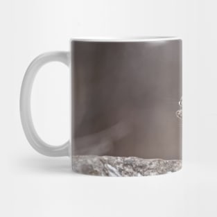 Red Squirrel Mug